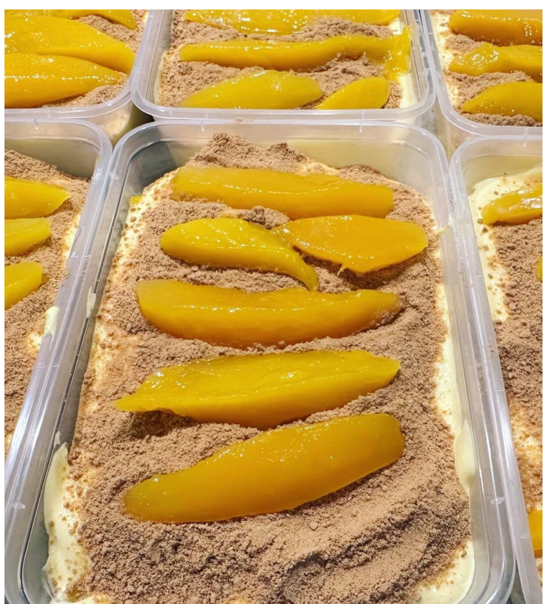 Mango Graham Float (500ml)